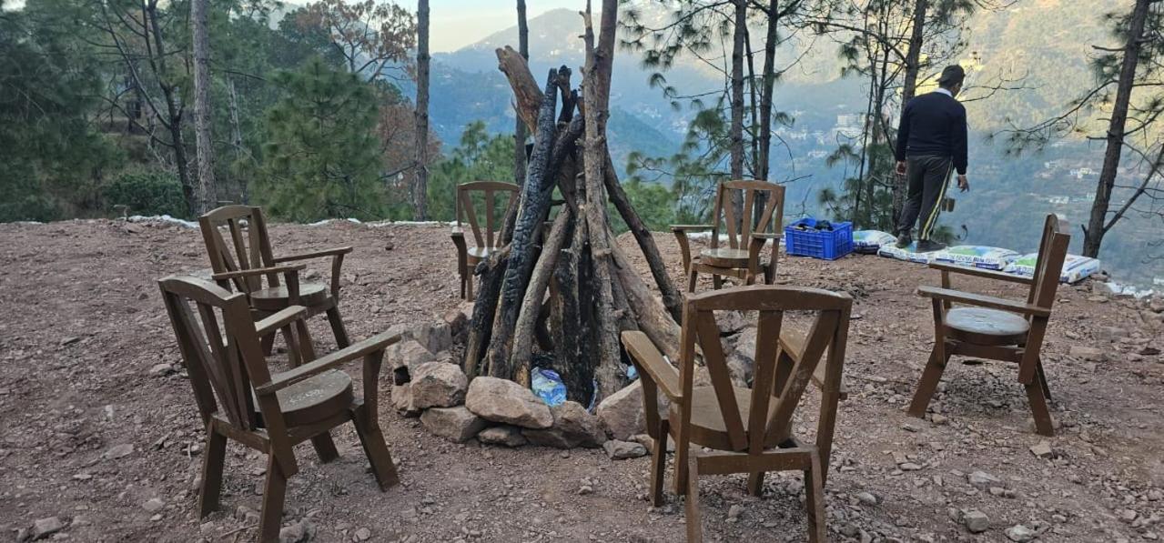 Hotel Tribe View - Away From City Hustle !! Top Rated & Most Awarded Property !! A Peaceful Stay Kasauli Exteriör bild
